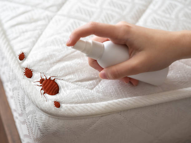 Best Bed Bug Extermination  in Princevle, IL